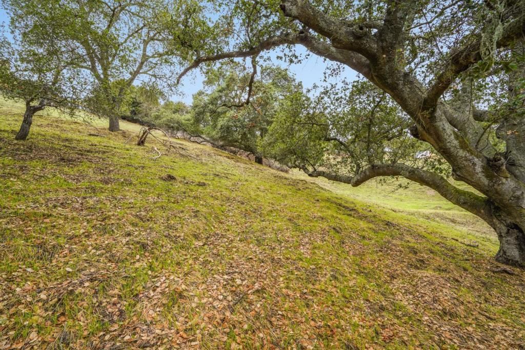 Image 20 of property listing at 8951 Tea Tree Way, Gilroy, CA 95020