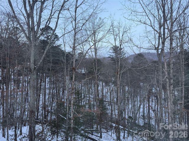 99999 Pole Creasman Road, Asheville, NC 28806