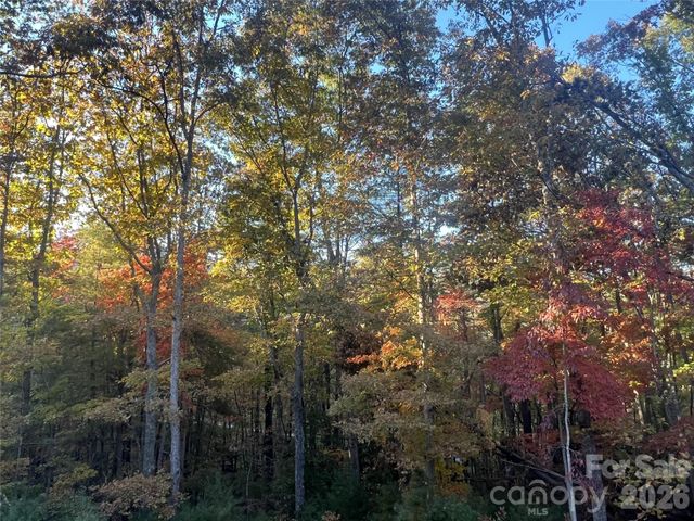 99999 Pole Creasman Road, Asheville, NC 28806