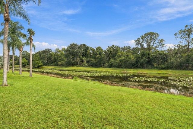 12427 BRISTOL COMMONS CIRCLE, Tampa, FL 33626