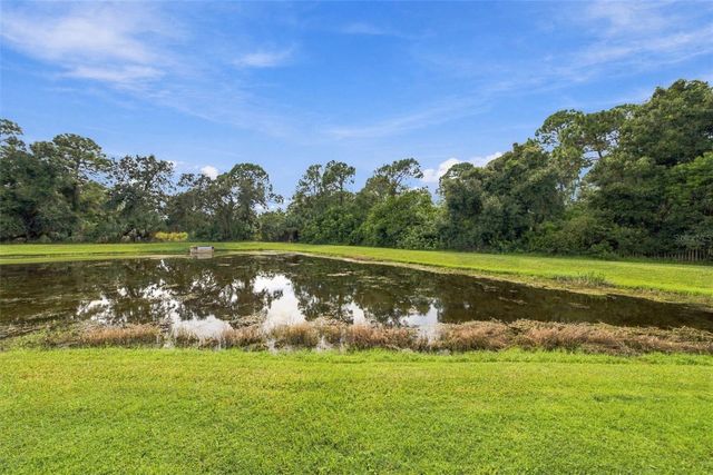12427 BRISTOL COMMONS CIRCLE, Tampa, FL 33626