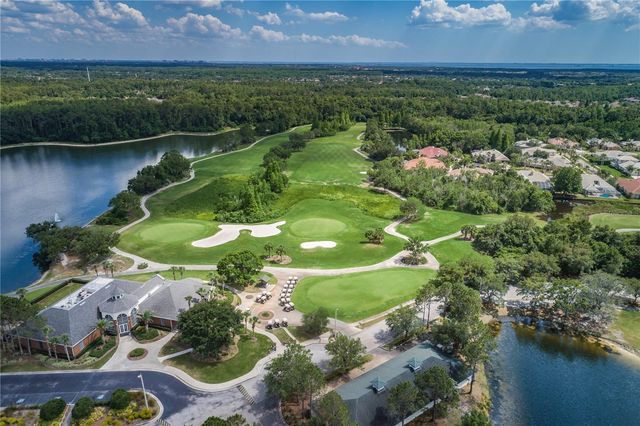 12427 BRISTOL COMMONS CIRCLE, Tampa, FL 33626