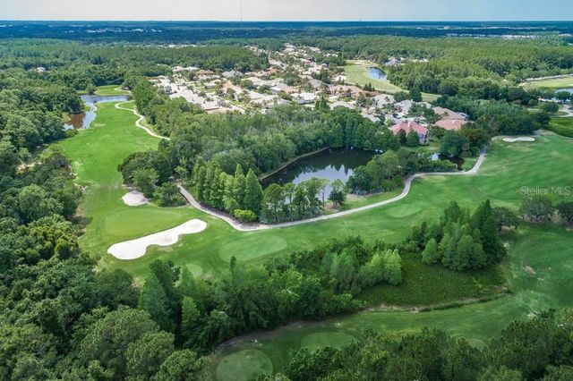 12427 BRISTOL COMMONS CIRCLE, Tampa, FL 33626