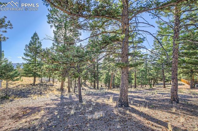 25 Amanda Circle, Florissant, CO 80816