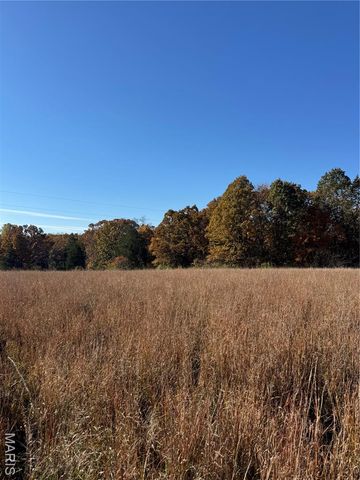 0 Highway E, Steelville, MO 65565