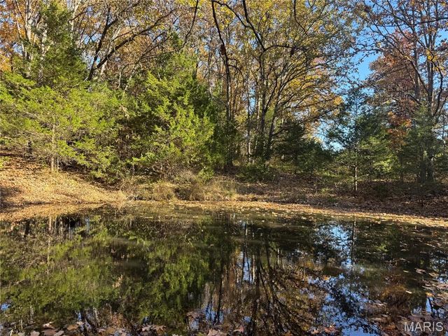 0 Highway E, Steelville, MO 65565