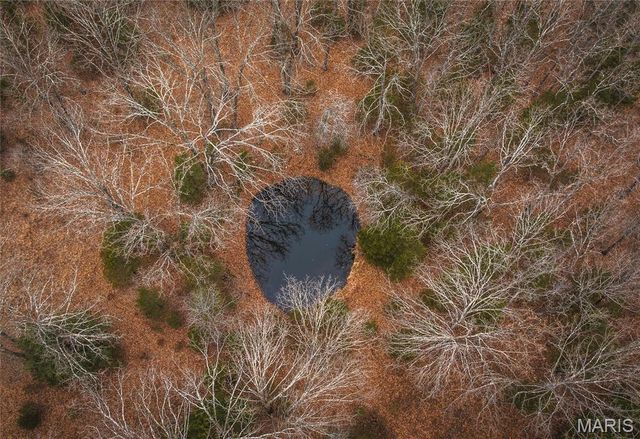 0 Highway E, Steelville, MO 65565