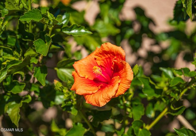 2648 Georgette Place, Simi Valley, CA 93063