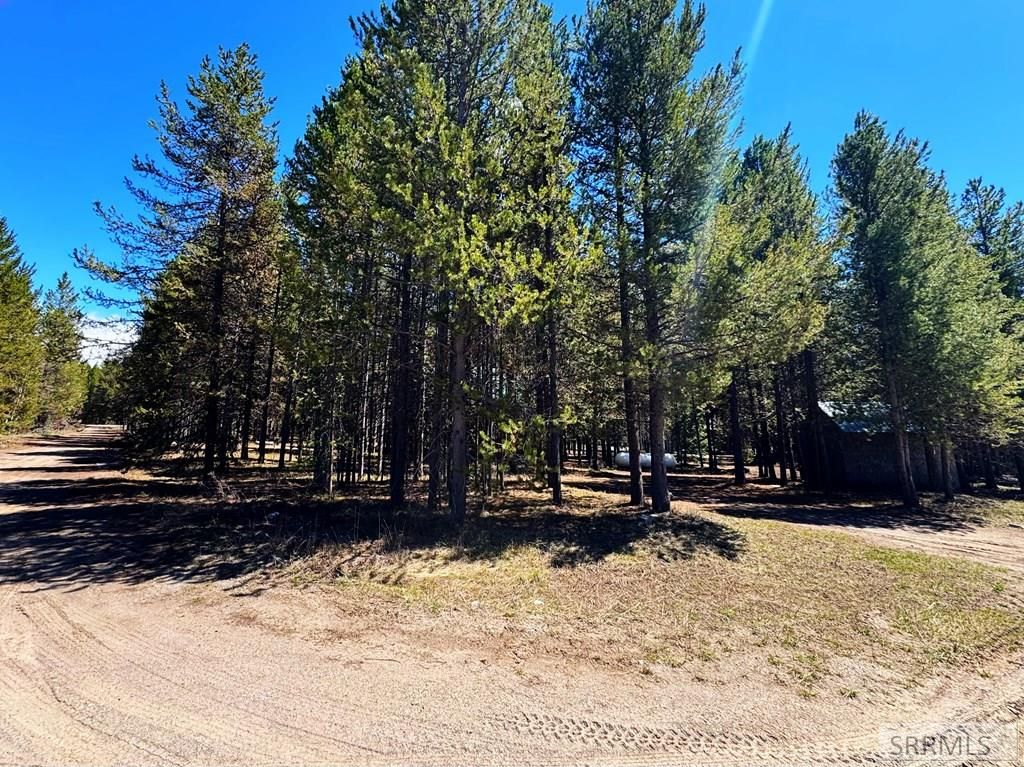 Image 2 of property listing at 4066 Yale Creek Road, Island Park, ID 83429