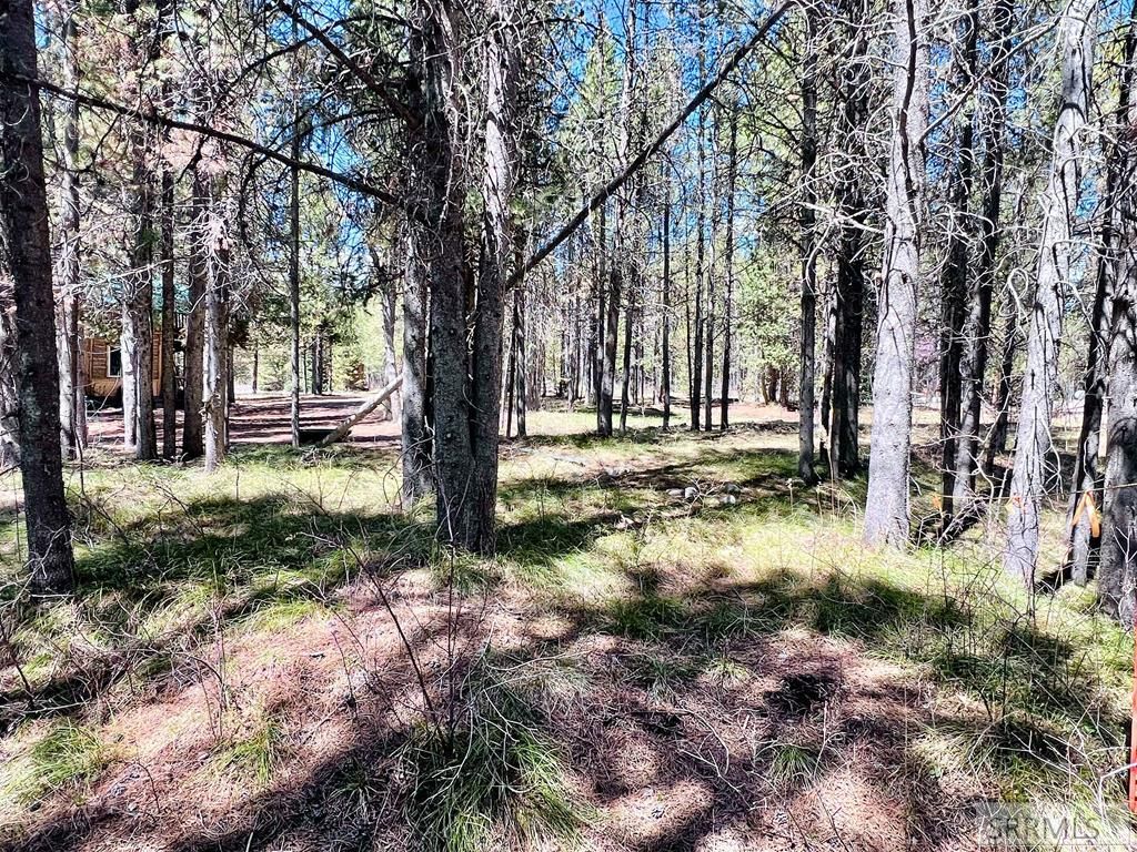Image 9 of property listing at 4066 Yale Creek Road, Island Park, ID 83429