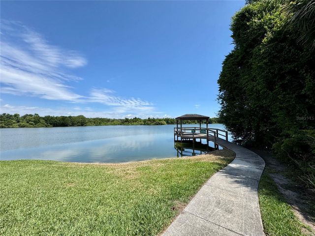 1253 BRANDY LAKE VIEW CIRCLE, Winter Garden, FL 34787