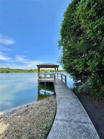 1253 BRANDY LAKE VIEW CIRCLE, Winter Garden, FL 34787