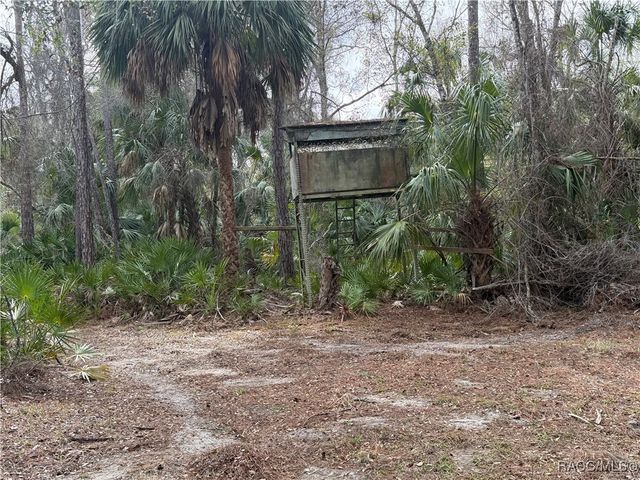 0 SE 193rd Place, Yankeetown, FL 34498