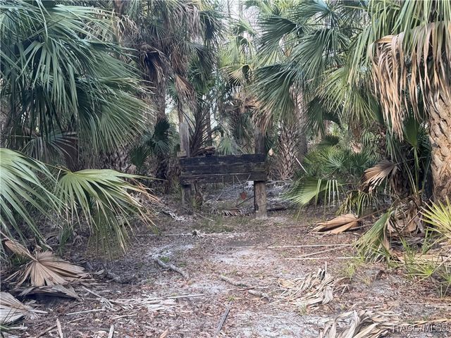 0 SE 193rd Place, Yankeetown, FL 34498