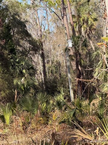 0 SE 193rd Place, Yankeetown, FL 34498
