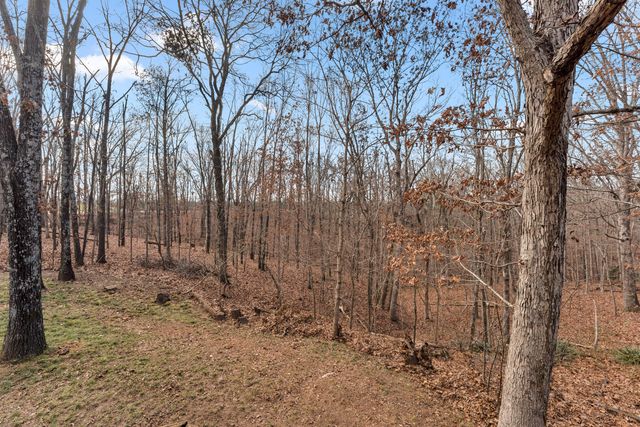 1541 S Wild Oaks Drive, Nixa, MO 65714