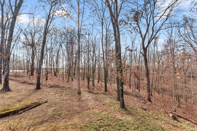 1541 S Wild Oaks Drive, Nixa, MO 65714