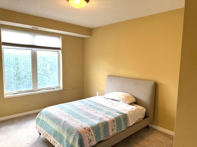 619 8th Street SE 409, Minneapolis, MN 55414