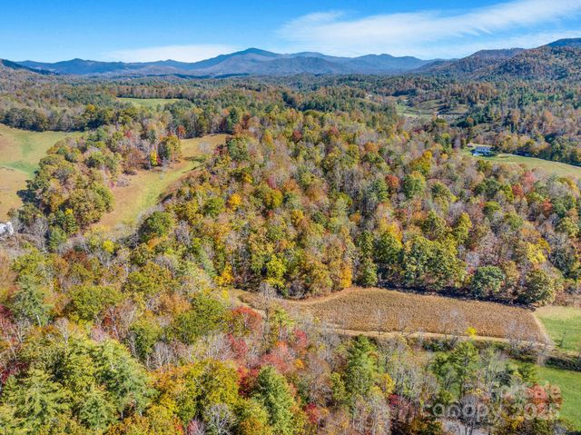 148 Fish Pond Lane, Burnsville, NC 28714