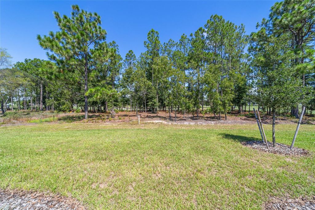Image 16 of property listing at 10537 SW 96TH LANE ROAD, Ocala, FL 34481