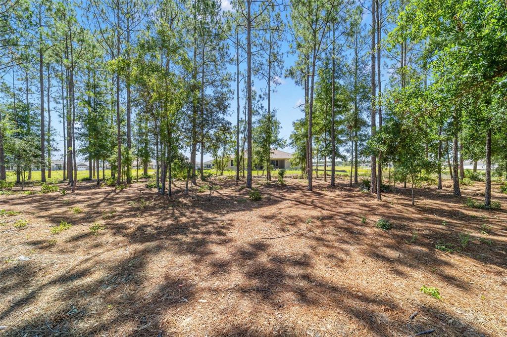 Image 20 of property listing at 10537 SW 96TH LANE ROAD, Ocala, FL 34481
