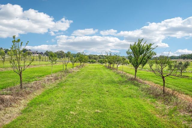 162 Flowering Sage Ln, Fredericksburg, TX 78624