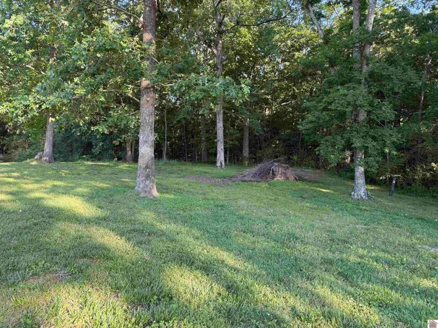 41 Candlelite Dr., Almo, KY 42020