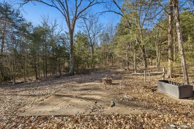 1585 Amos Hamlett Rd, Pulaski, TN 38478