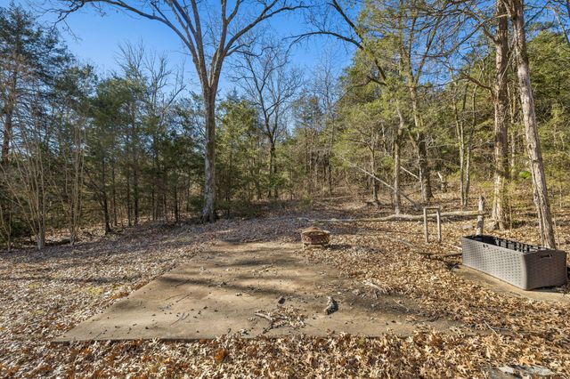 1585 Amos Hamlett Rd, Pulaski, TN 38478