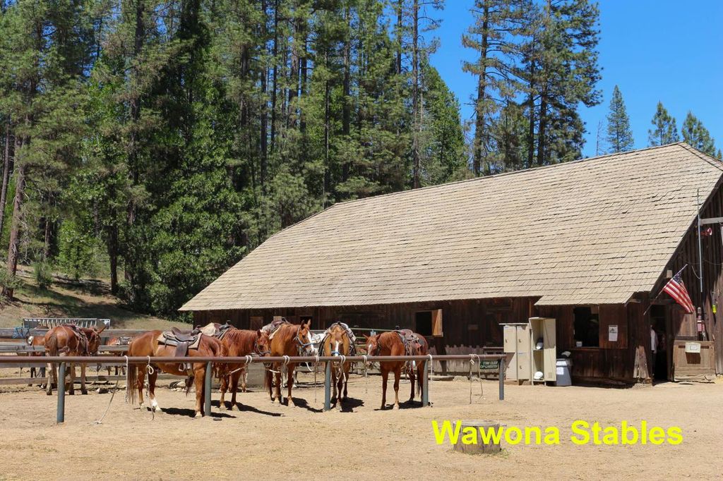 Image 33 of property listing at 2628 W Bruce, Wawona, CA 95389