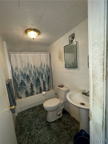 29 Mitchell Street, Norwich, NY 13815