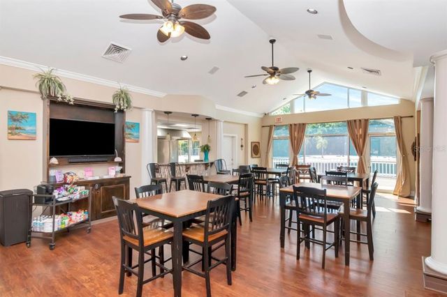 10528 BERMUDA ISLE DRIVE, Tampa, FL 33647