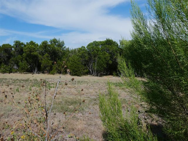 2504 INDIAN CLOVER TRL, Leander, TX 78641
