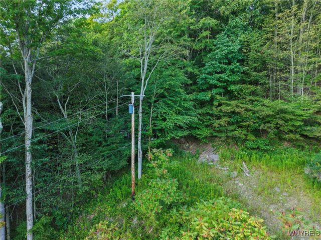 6806 Route 219 North, Ellicottville, NY 14731