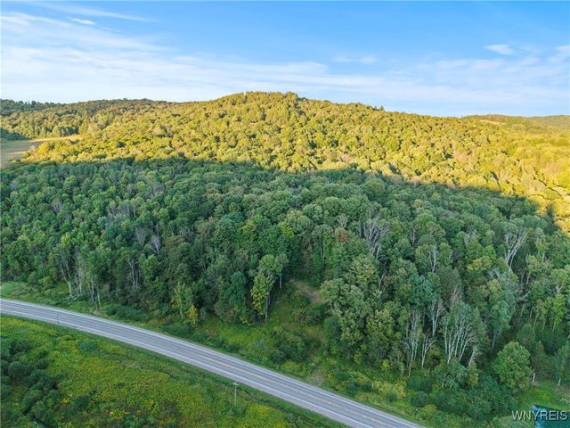 6806 Route 219 North, Ellicottville, NY 14731