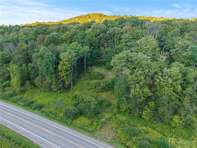 6806 Route 219 North, Ellicottville, NY 14731