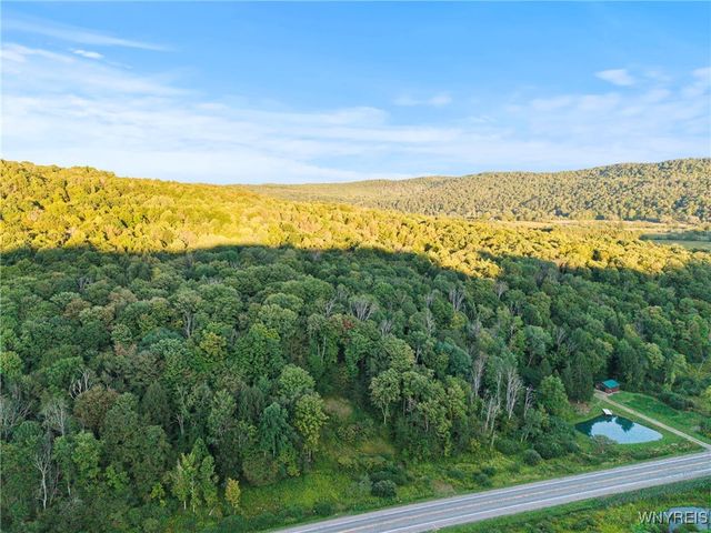 6806 Route 219 North, Ellicottville, NY 14731