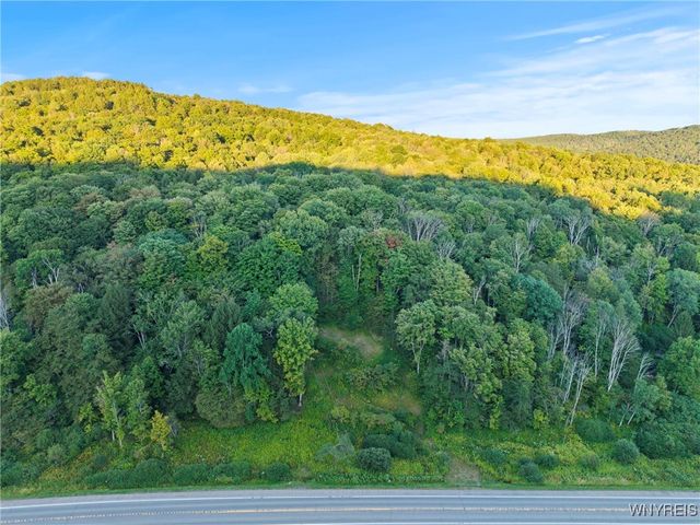 6806 Route 219 North, Ellicottville, NY 14731