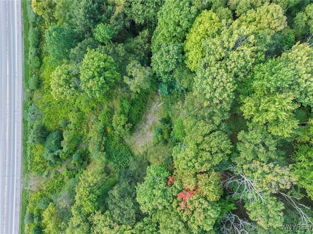 6806 Route 219 North, Ellicottville, NY 14731