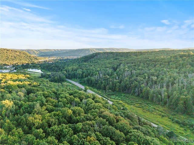 6806 Route 219 North, Ellicottville, NY 14731