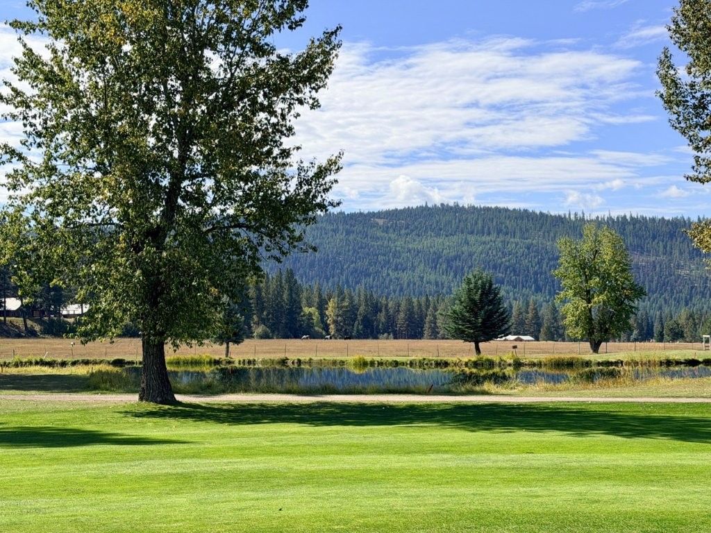 1308 Golf View Drive, Seeley Lake, MT 59868