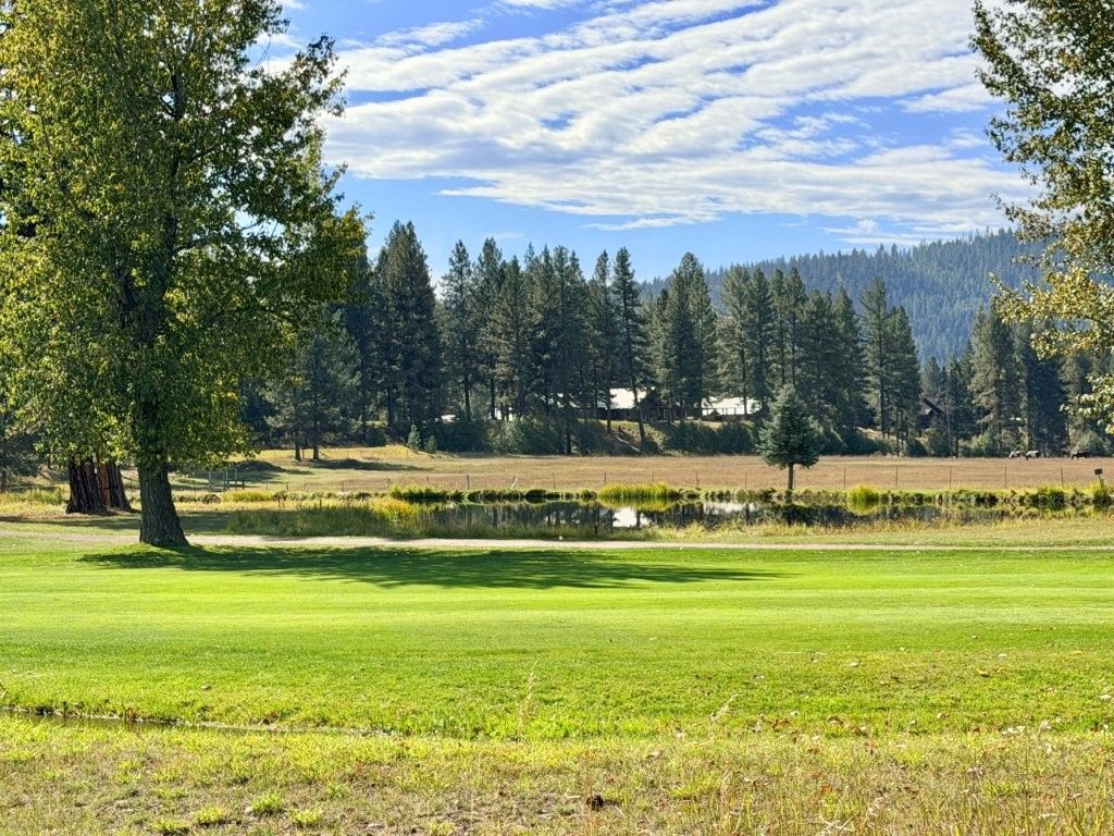 1308 Golf View Drive, Seeley Lake, MT 59868 photo 2