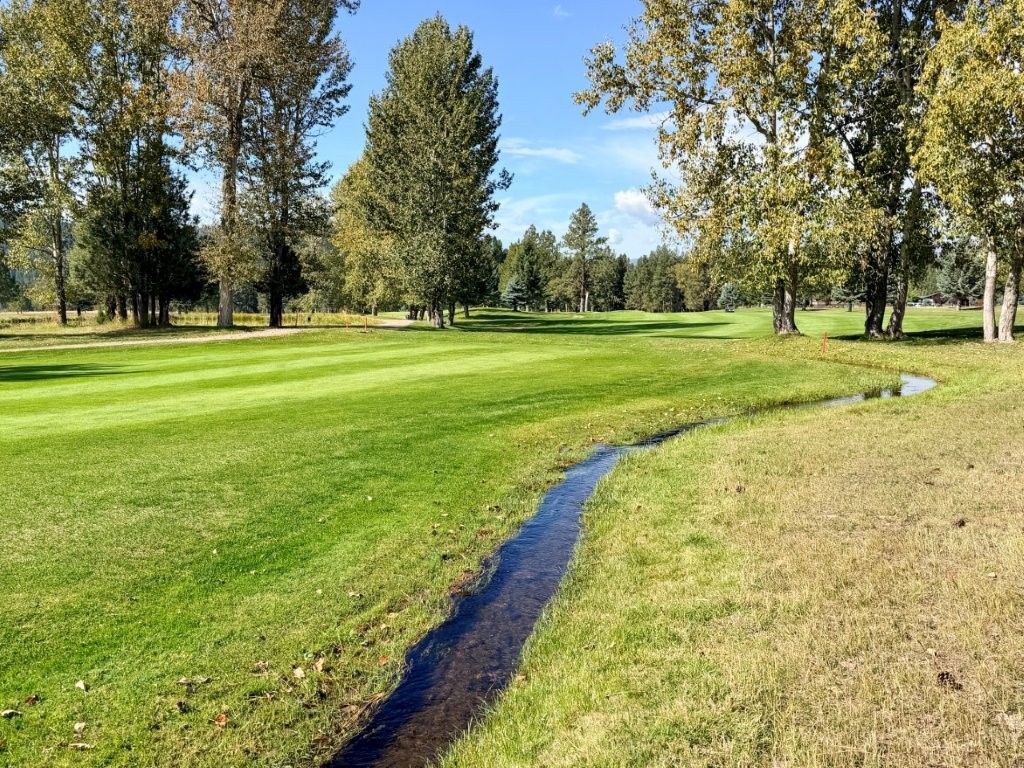 1308 Golf View Drive, Seeley Lake, MT 59868 photo 3