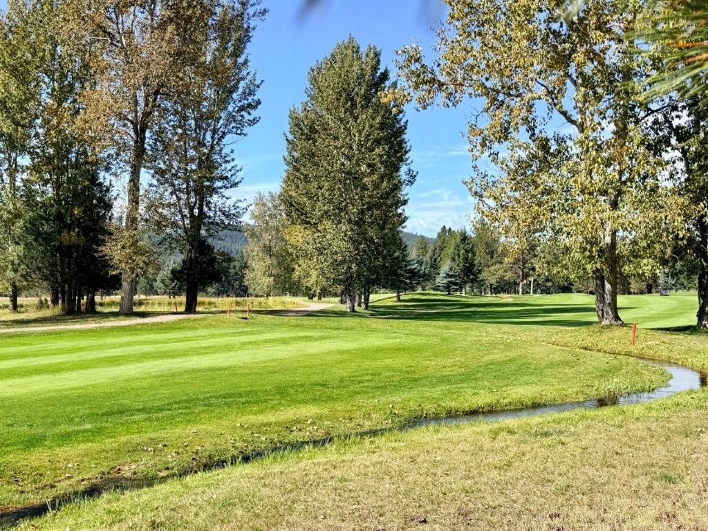 1308 Golf View Drive, Seeley Lake, MT 59868 photo 4