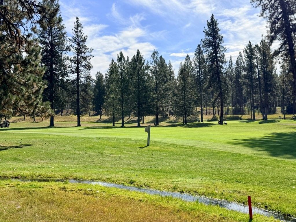 1308 Golf View Drive, Seeley Lake, MT 59868 photo 5