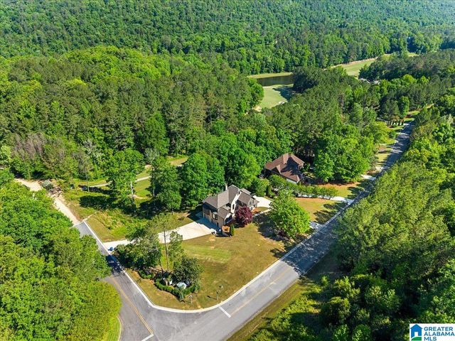 707 SAINT ANDREWS PARKWAY, Oneonta, AL 35121