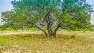 Lot 4 County Road 332, Blanket, TX 76432