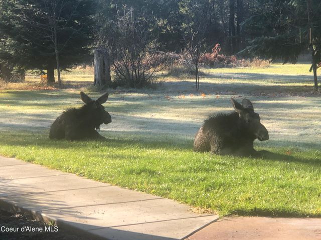 4529 E Diagonal Rd, Rathdrum, ID 83858