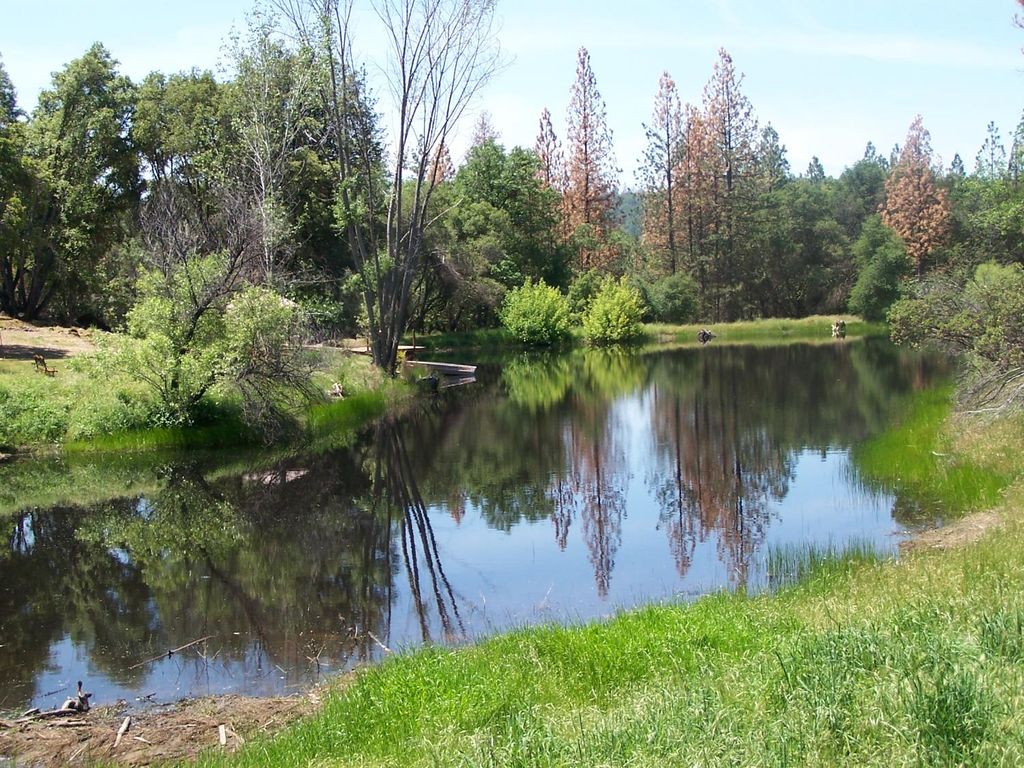 Image 1 of property listing at 10 Rusty Ln, Oakhurst, CA 93644