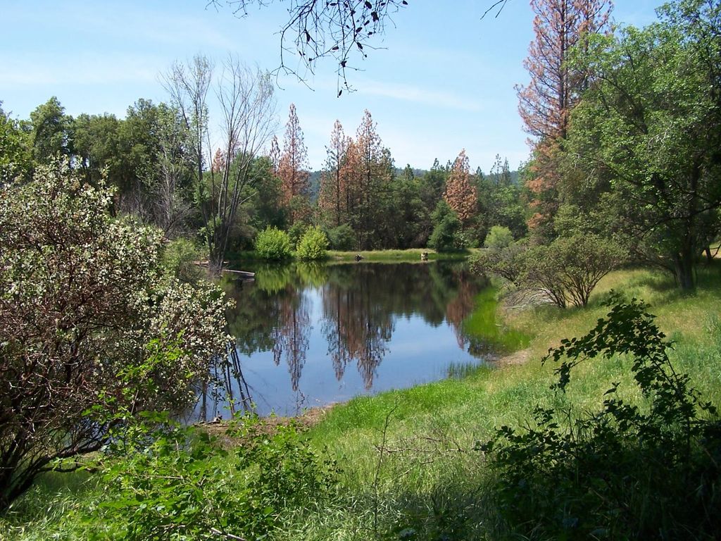 Image 5 of property listing at 10 Rusty Ln, Oakhurst, CA 93644